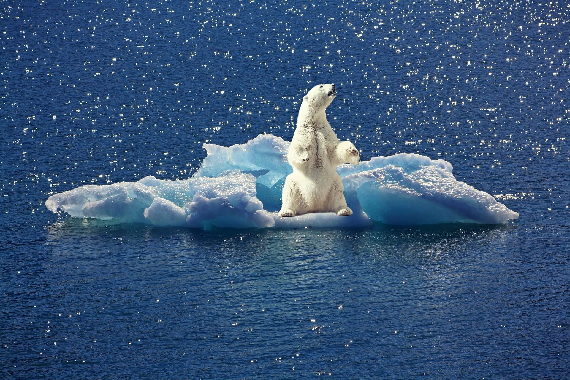 CAMBIO CLIMATICO ONU