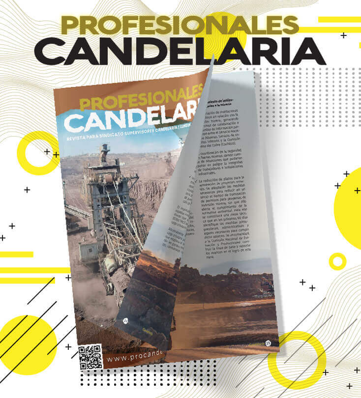 Edición N°12 – Revista PRO CANDELARIA