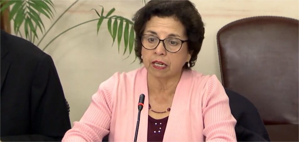 Ministra Williams destacó avances en la implementación de la Estrategia Nacional del Litio