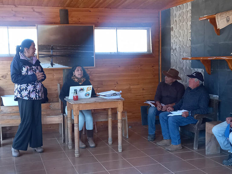 Seremi de minería realiza visita técnica en Cardenal Caro