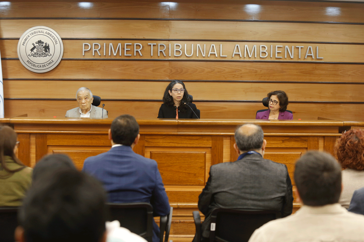 Chile refuerza su Estrategia Nacional del Litio en coloquio del Primer Tribunal Ambiental