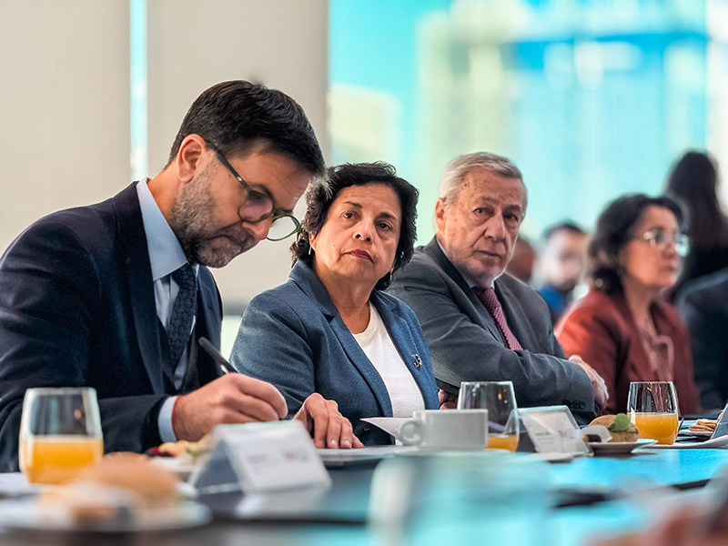 Estrategia de Minerales Críticos