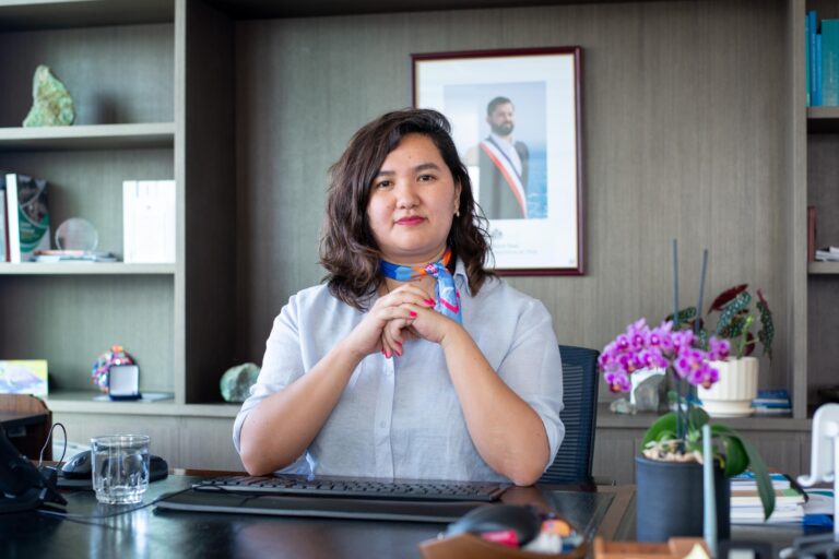 Subsecretaria de Minería, Suina Chahuán