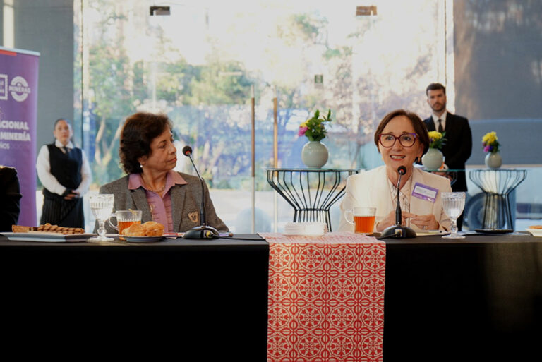 Premio Karen Poniachik