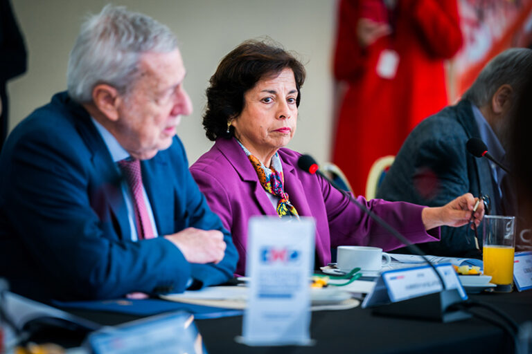 Estrategia de Minerales Críticos