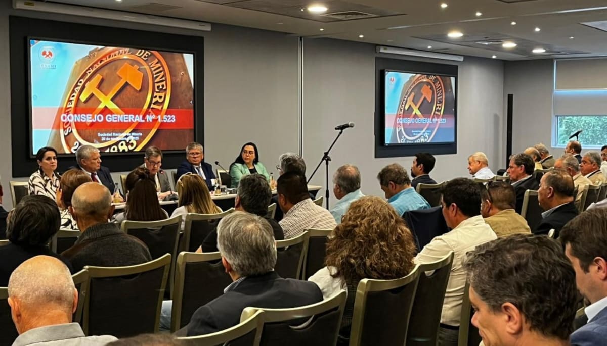 SONAMI definió 2025 como “especialmente desafiante” para la minería