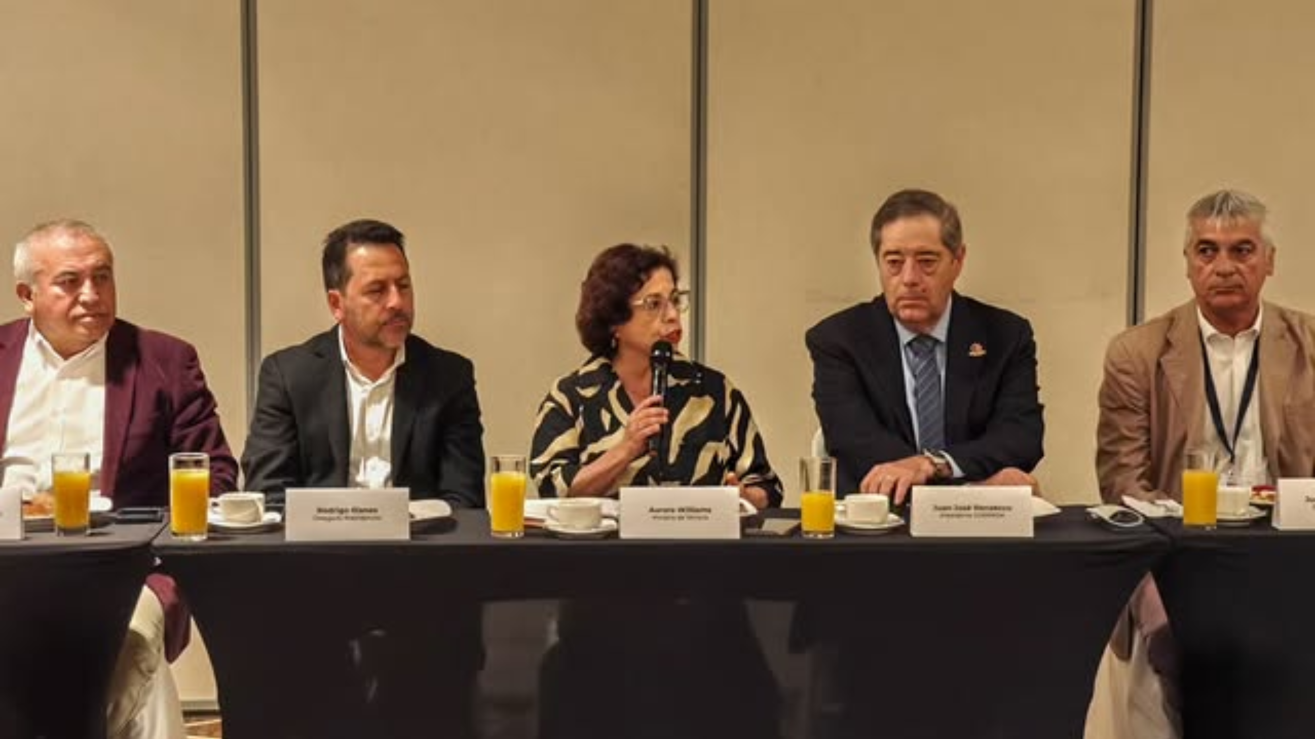 Atacama impulsa su desarrollo minero con diálogo público-privado e inversiones por más de US$17 mil millones