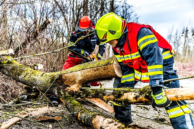 Gremio de proveedores de la minería activa Comité de Emergencia ante incendios forestales