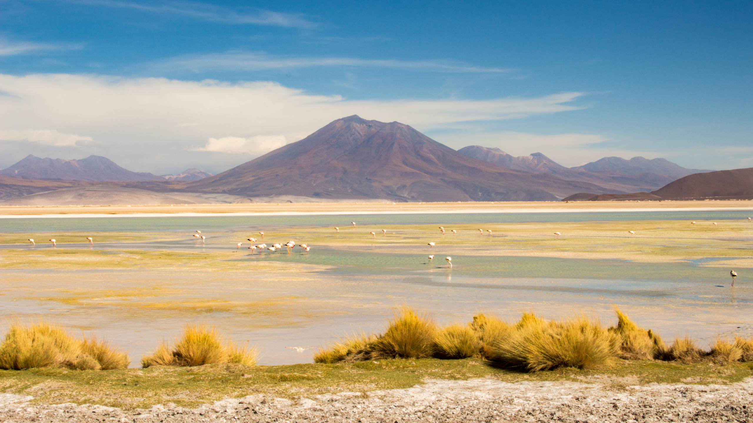 Codelco y Quiborax conforman Minera Ascotán para impulsar CEOL y futuro proyecto de litio en salar de Ascotán