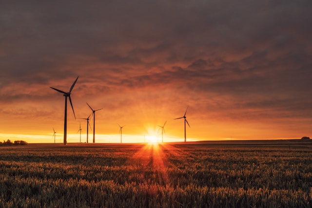 Argentina: energía renovable y distribución con topes récord, pero enfrentan “cuello de botella” en el transporte
