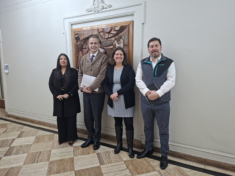 Seremis de Minería y ejecutivos de ENAMI sostienen reunión para fortalecer la pequeña y mediana minería