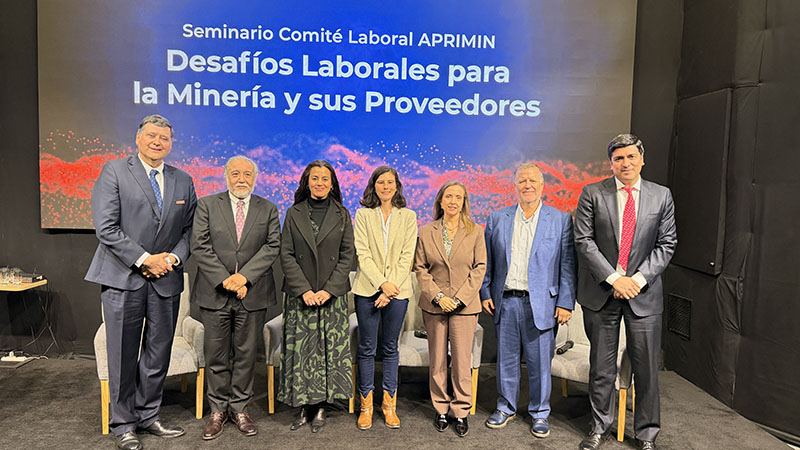 Proveedores mineros proyectan fuerte demanda laboral ante la crisis de empleo